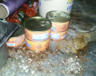 Alimentos estavam guardados de maneira irregular na cozinha de pizzaria (Foto: Divulgação/Polícia Civil)